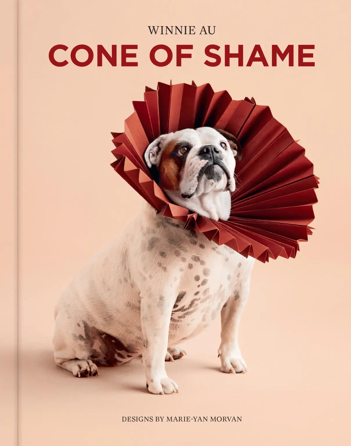 Cone of Shame hardcover book featuring English Bulldog wearing red pleated paper cone