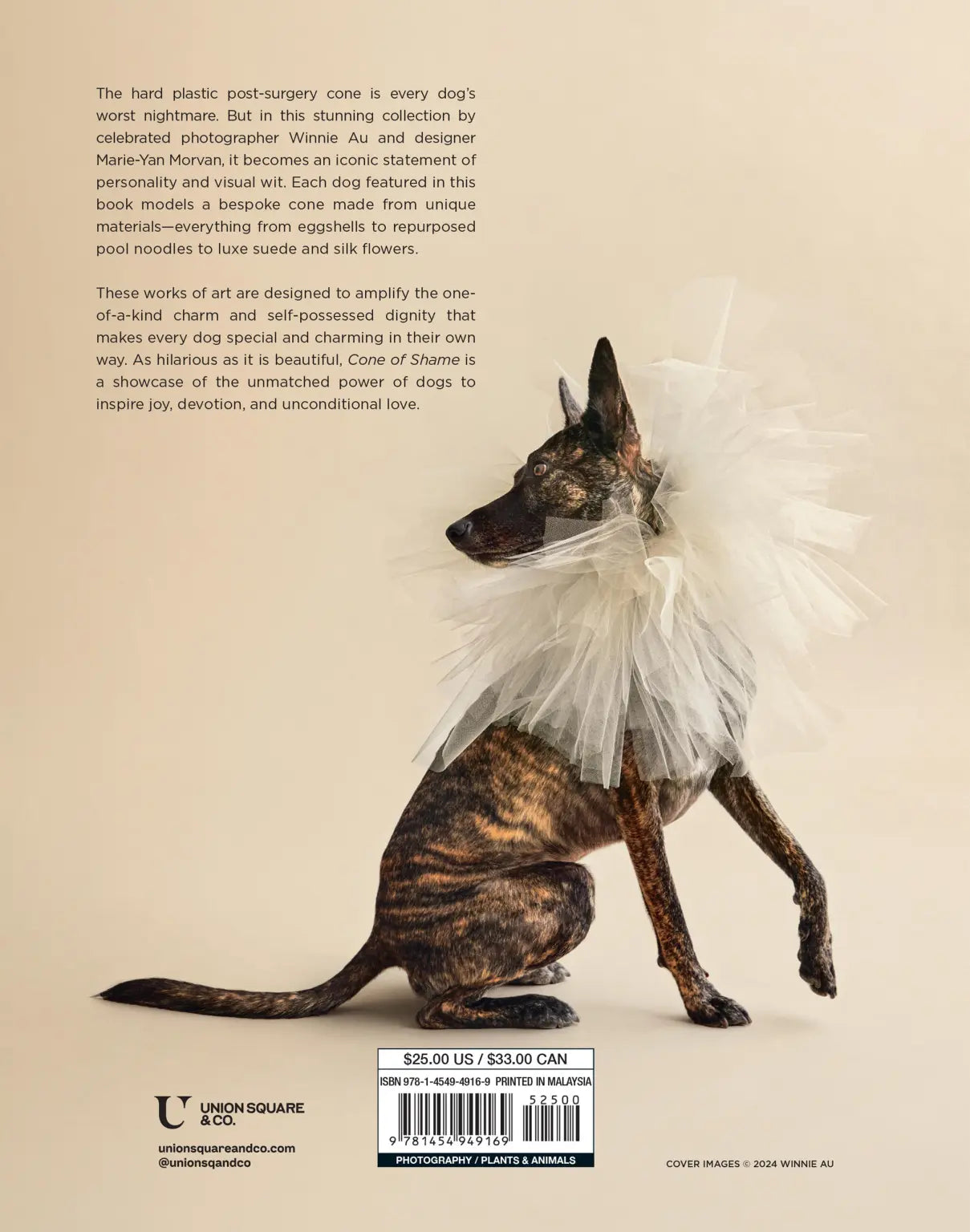 Back cover of Cone of Shame book featuring brindle dog wearing white tulle cone collar
