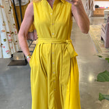 Button Down Flared Dress