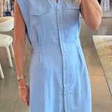 Hillary Dress in Blue